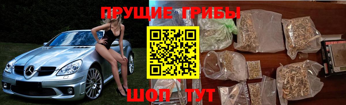 Родники  Псилоцибиновые грибы мухоморы  Псилоцибиновые грибы мицелий  Вход с VPN 